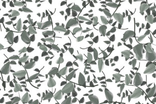 Floral Flat Beautiful Pattern Design: A Versatile Tool for Creativity and Practical Use